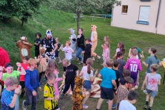 IMG_20240719_204746