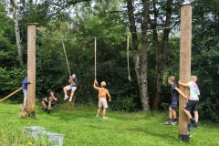 IMG_20240725_142946