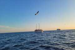 Kroatien'22