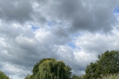 IMG_8202